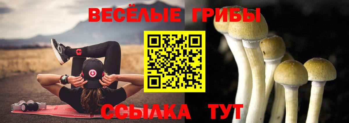 Псилоцибиновые грибы Psilocybine cubensis  где купить наркоту  Оренбург  Вход с VPN 